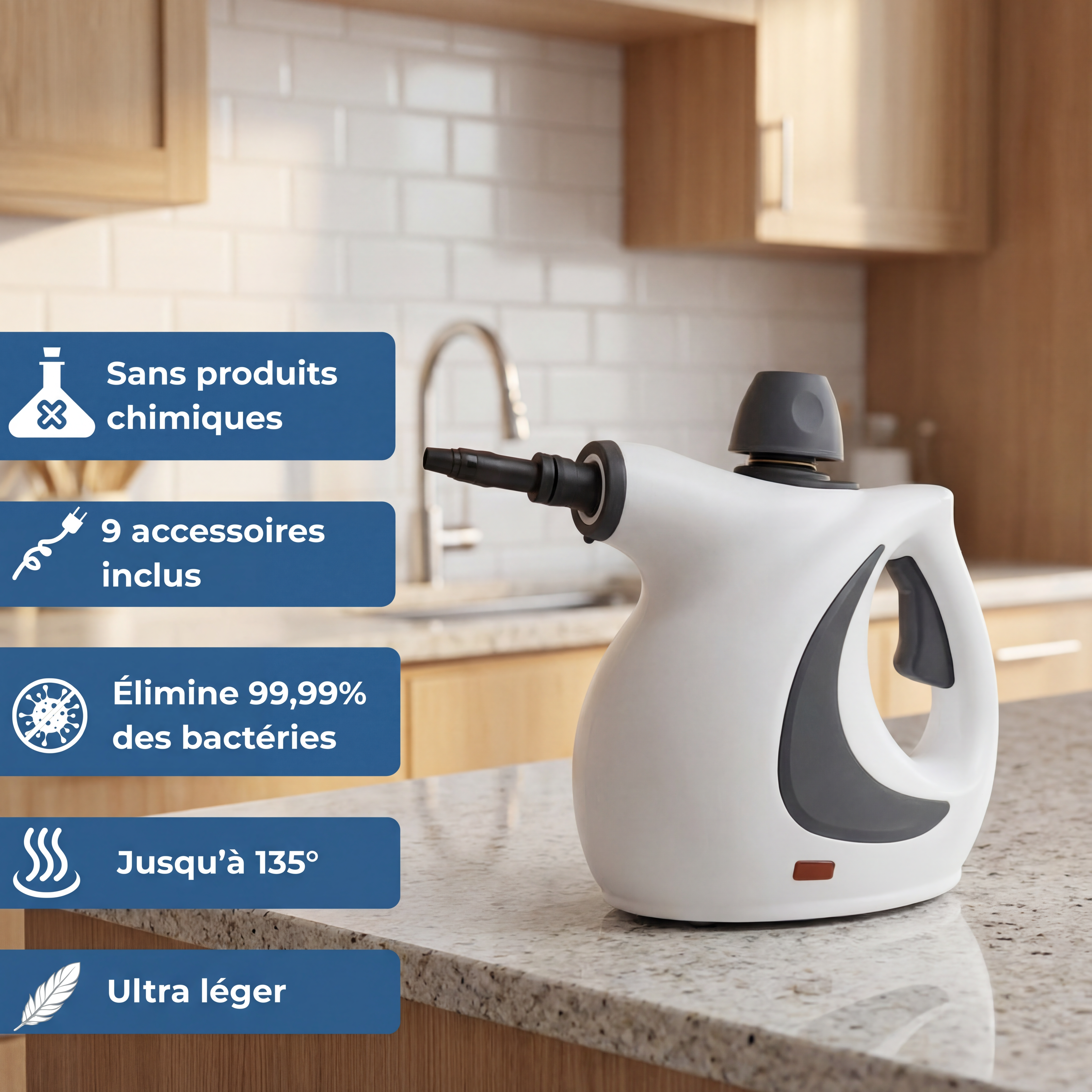 Nettoyeur Vapeur RevyneX Pro