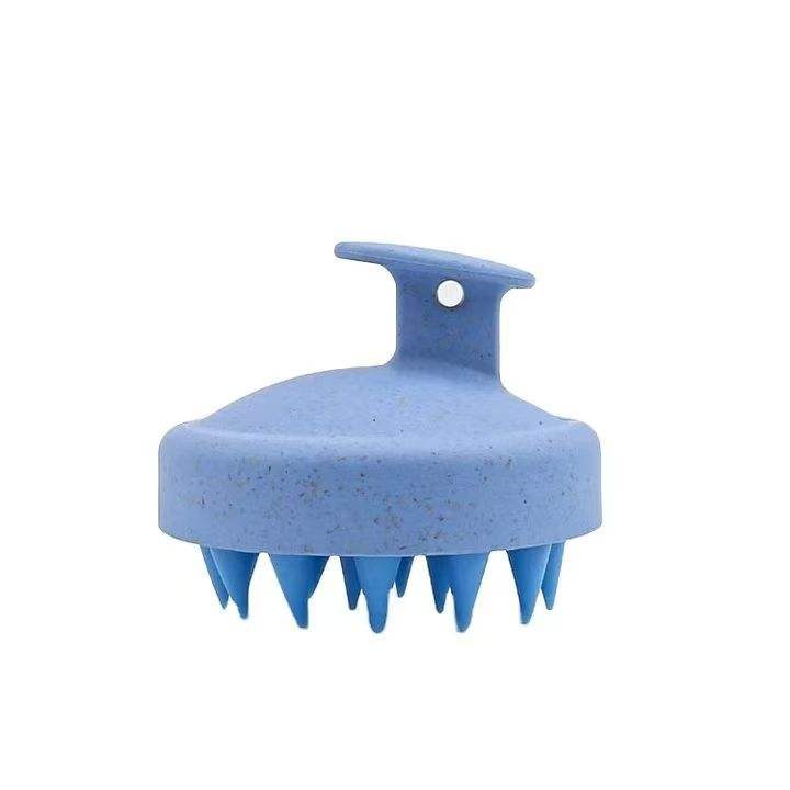 Brosse capillaire